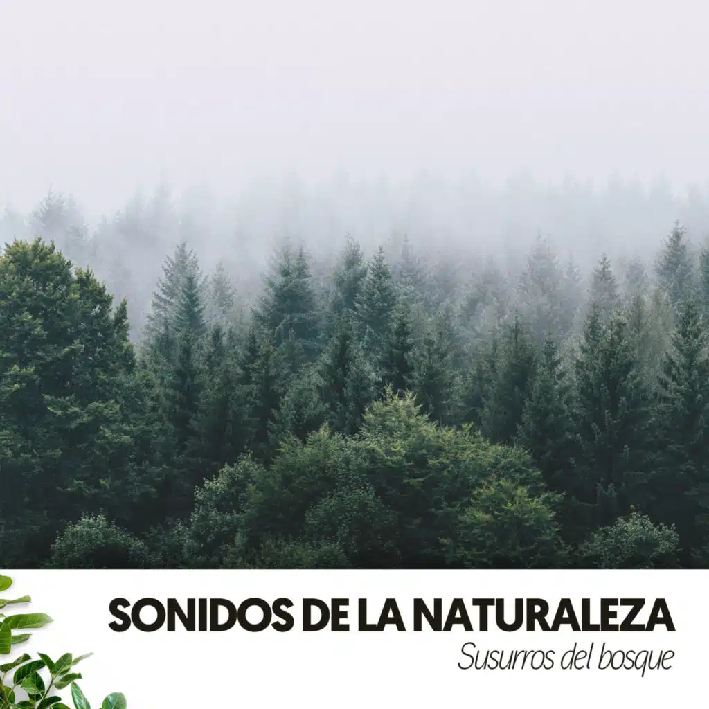 Sonidos de la Naturaleza: Susurros del bosque