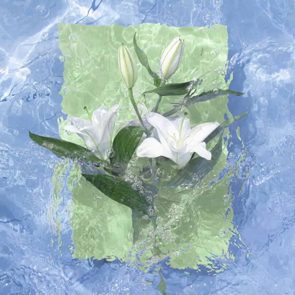 I've Seen You Dreaming (Downtempo Mix)