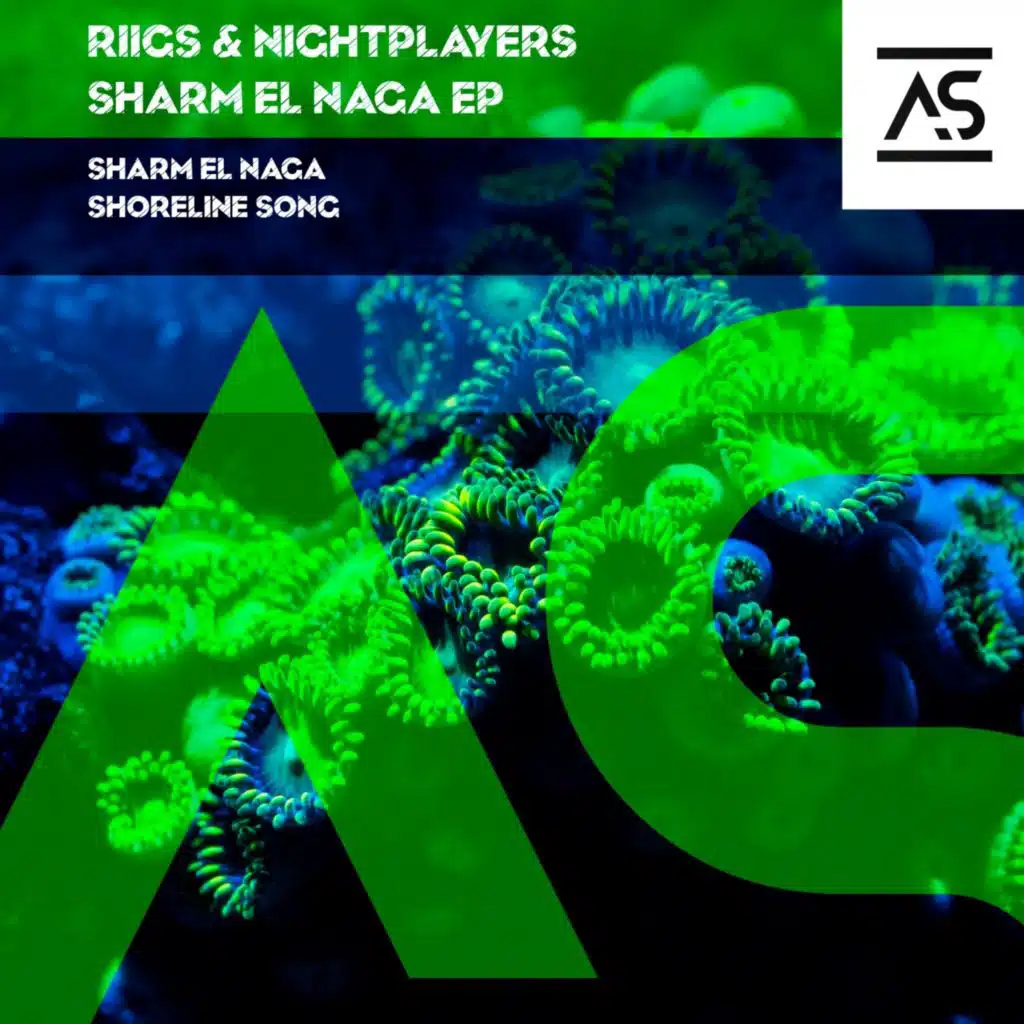 Nightplayers & Riigs
