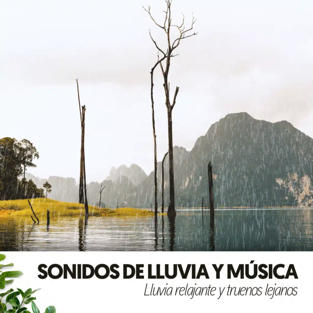 Sonidos de Lluvia y música: Lluvia relajante y truenos lejanos