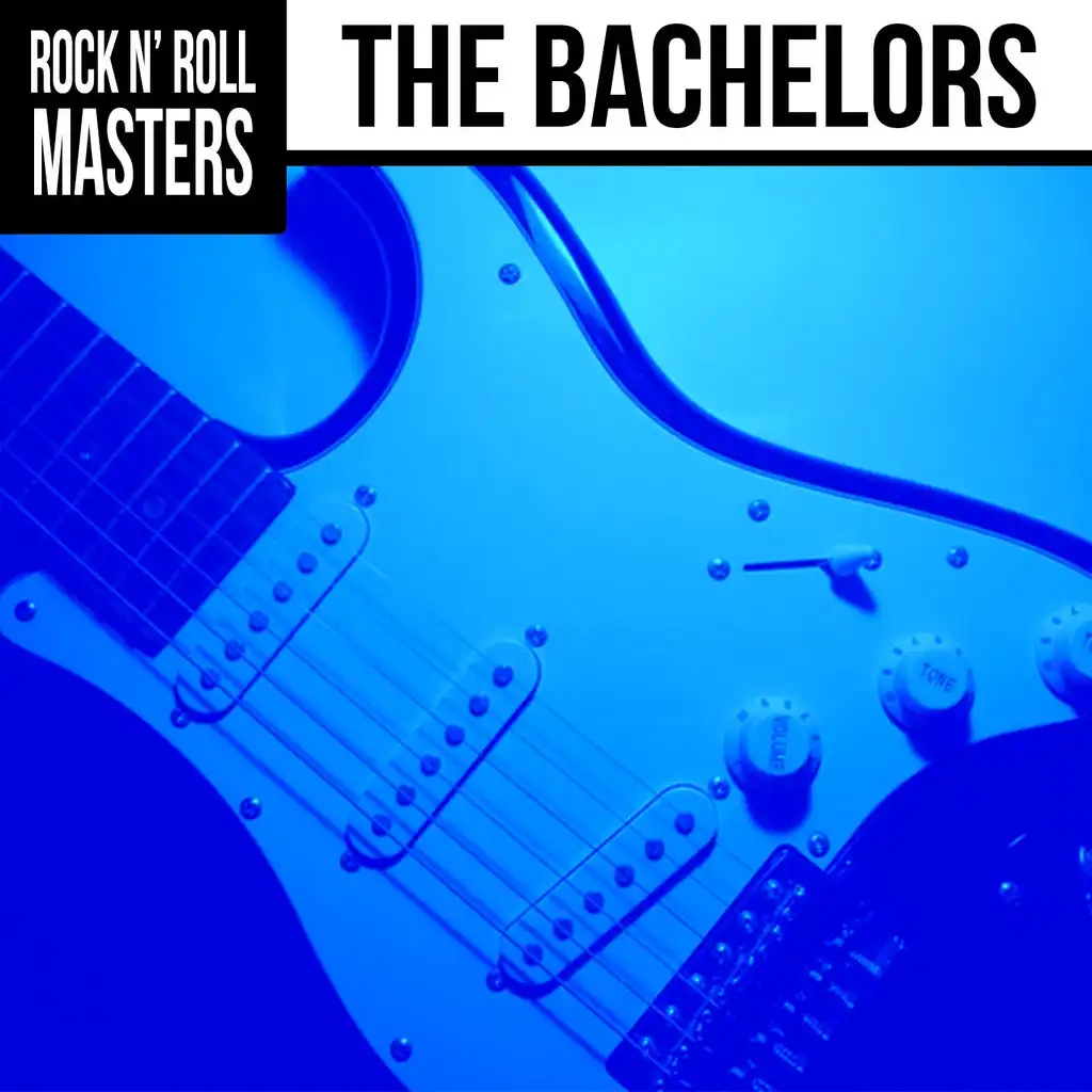 Rock n'  Roll Masters: The Bachelors