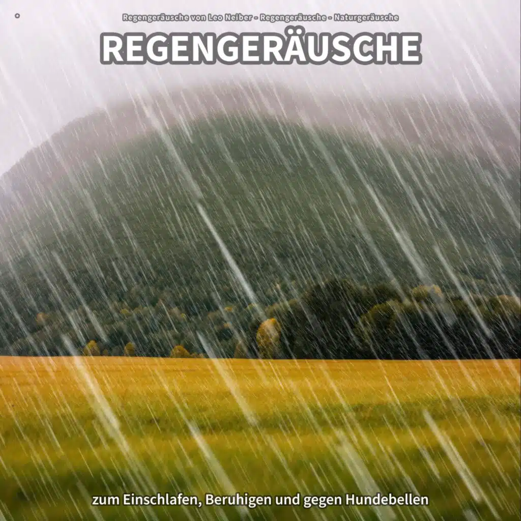 Regengeräusche, Pt. 24