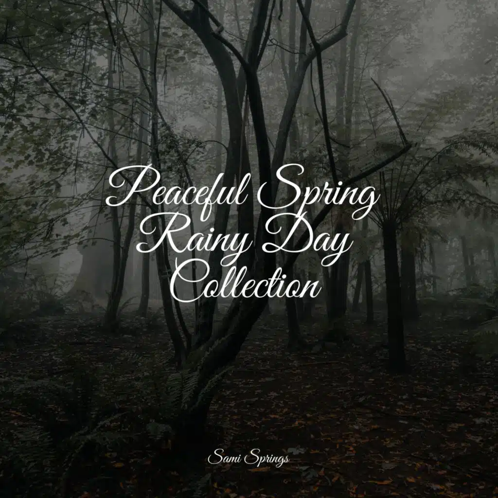 Seagulls on the Beach