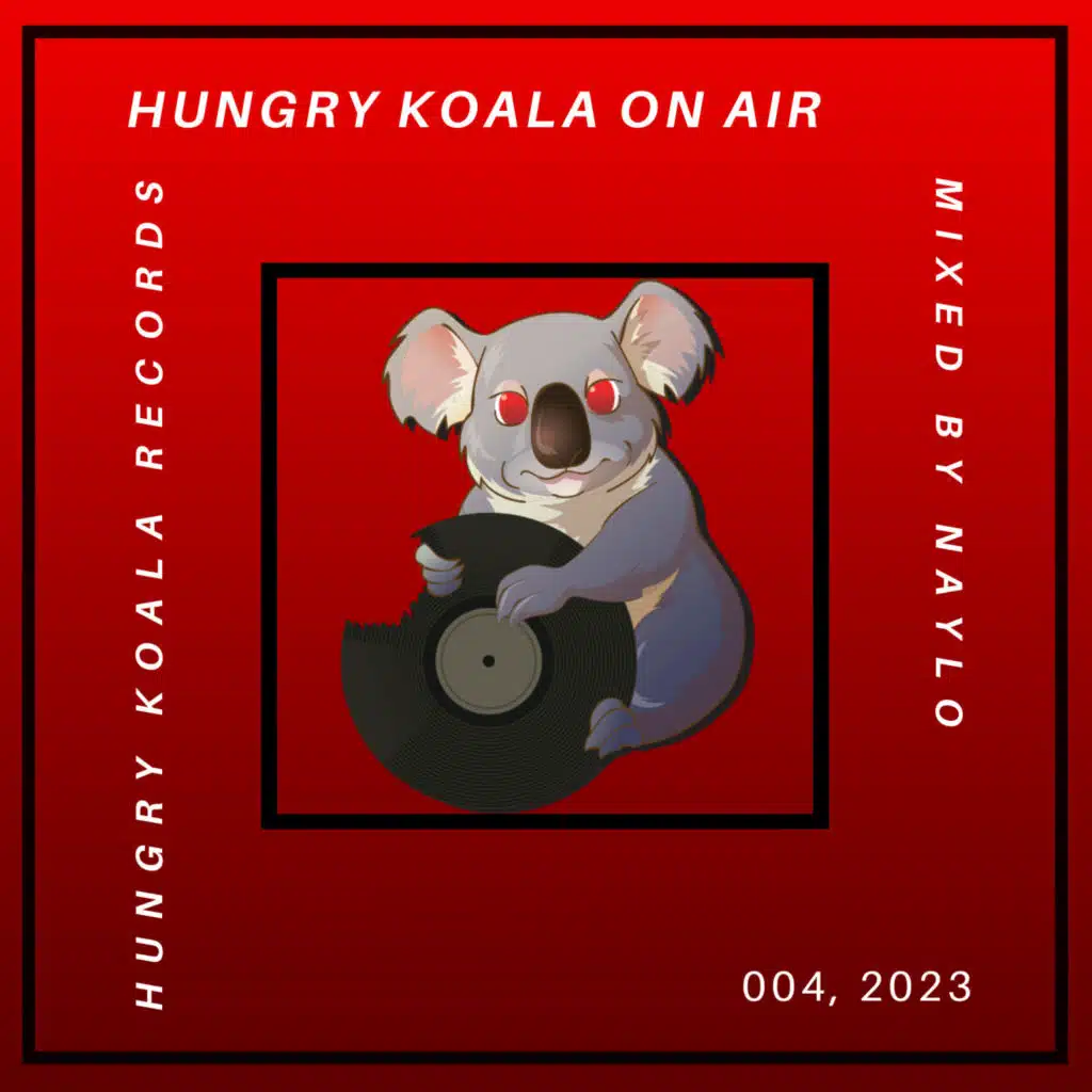 Hungry Koala
