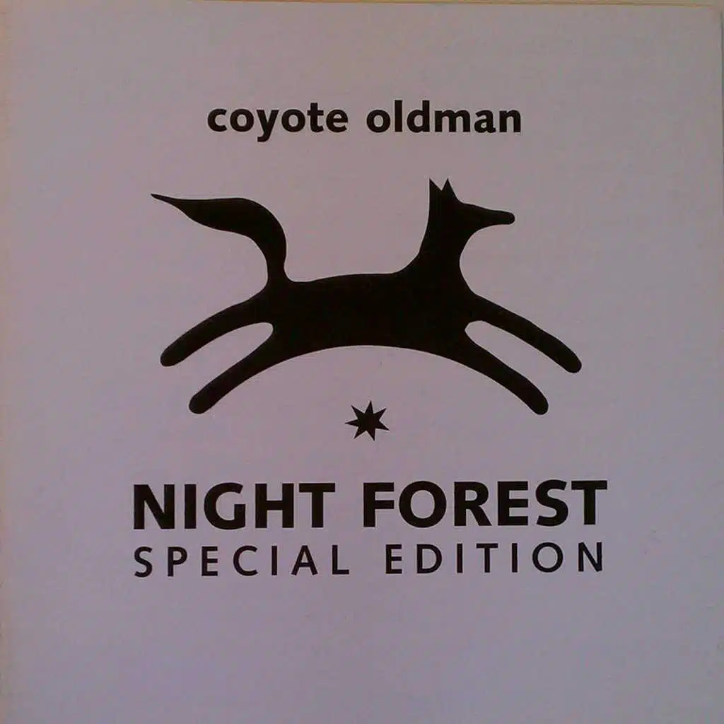 Night Forest