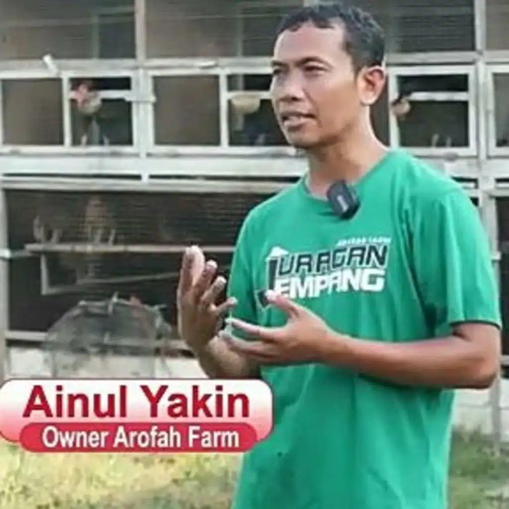 Ternak ayam kampung semi intensif by Ainun Yakin