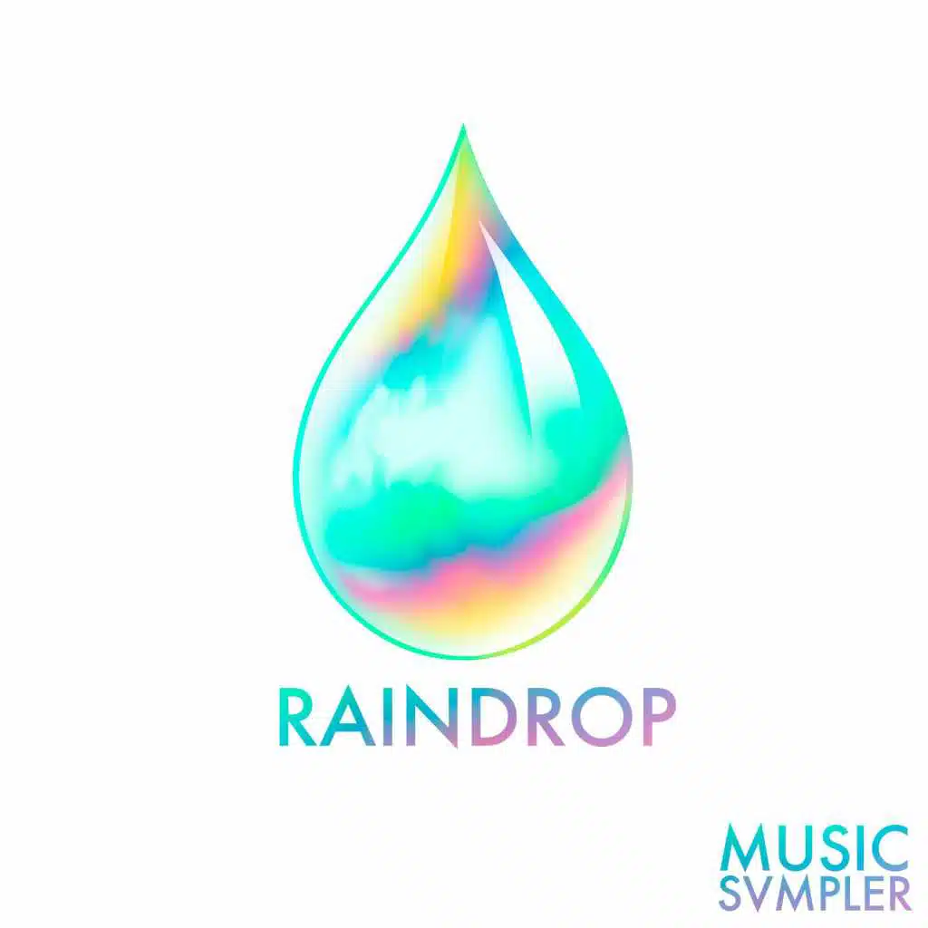Raindrop Sampler, Vol. 1