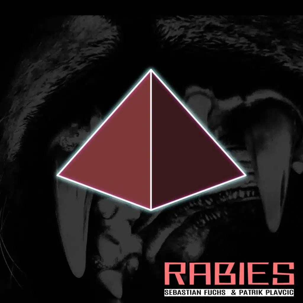 Sebastian Fuchs & Patrik Plavcic