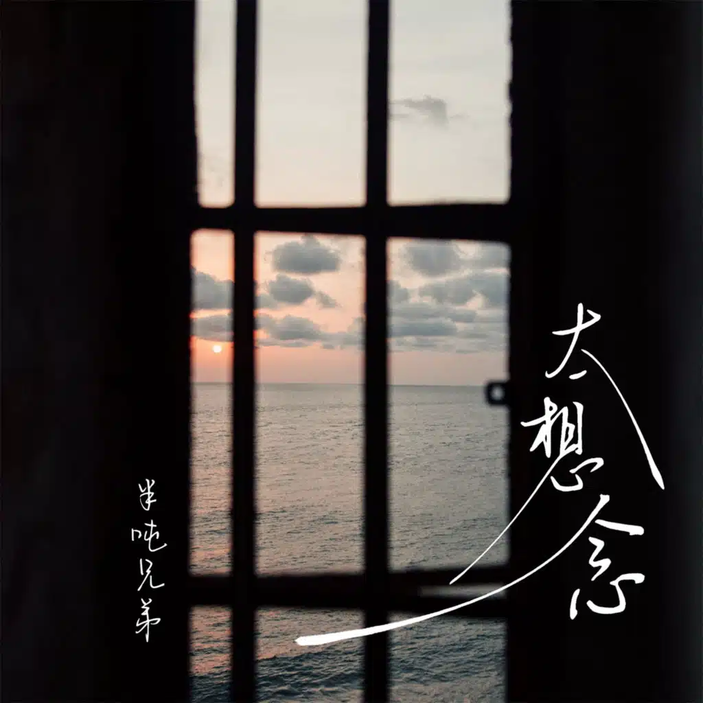 太想念 (伴奏)