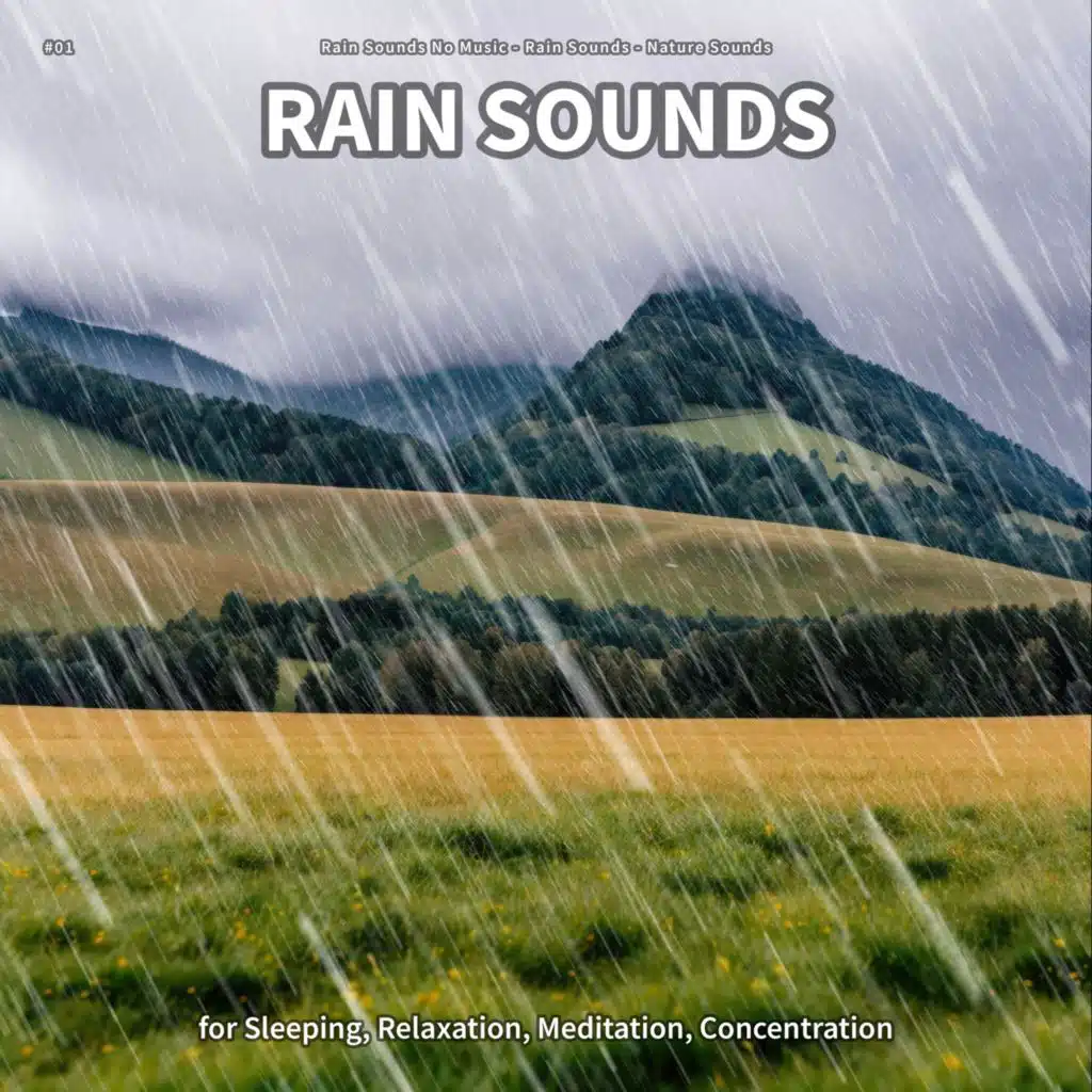 Rain Sounds, Pt. 23