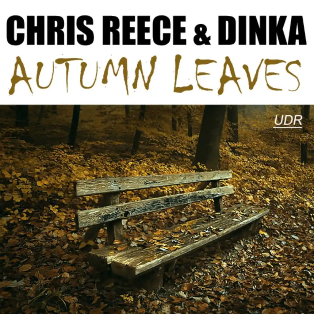 Autumn Leaves (Progressive Dub)
