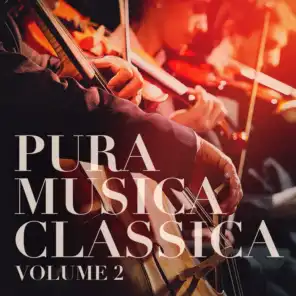 Pura Musica Classica, Vol. 2