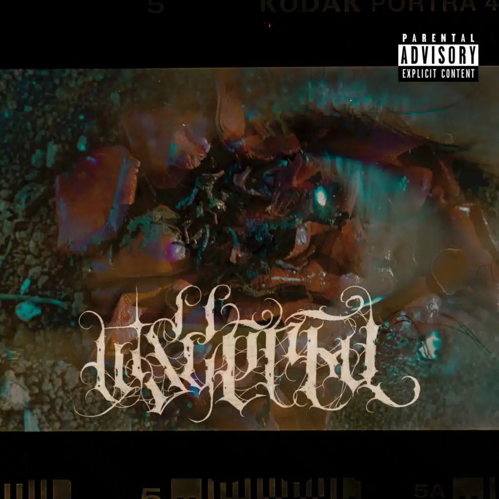 Visceral (feat. __chech)