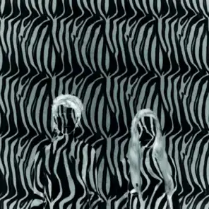 Zebra (UK Radio Edit)