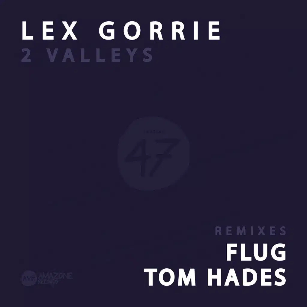 Dark Valley (Flug Remix)
