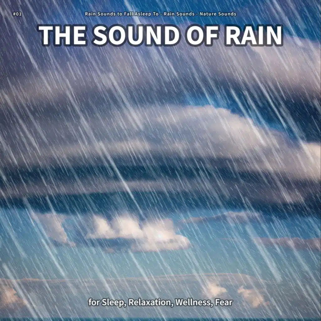 #01 The Sound of Rain for Sleep, Relaxation, Wellness, Fear