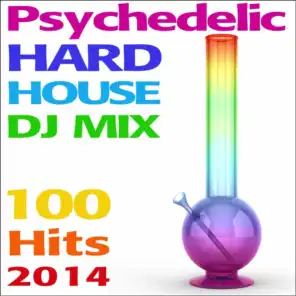 Psychedelic Hard House Hits 2014 (One Hour Highway 420 DJ Mix)