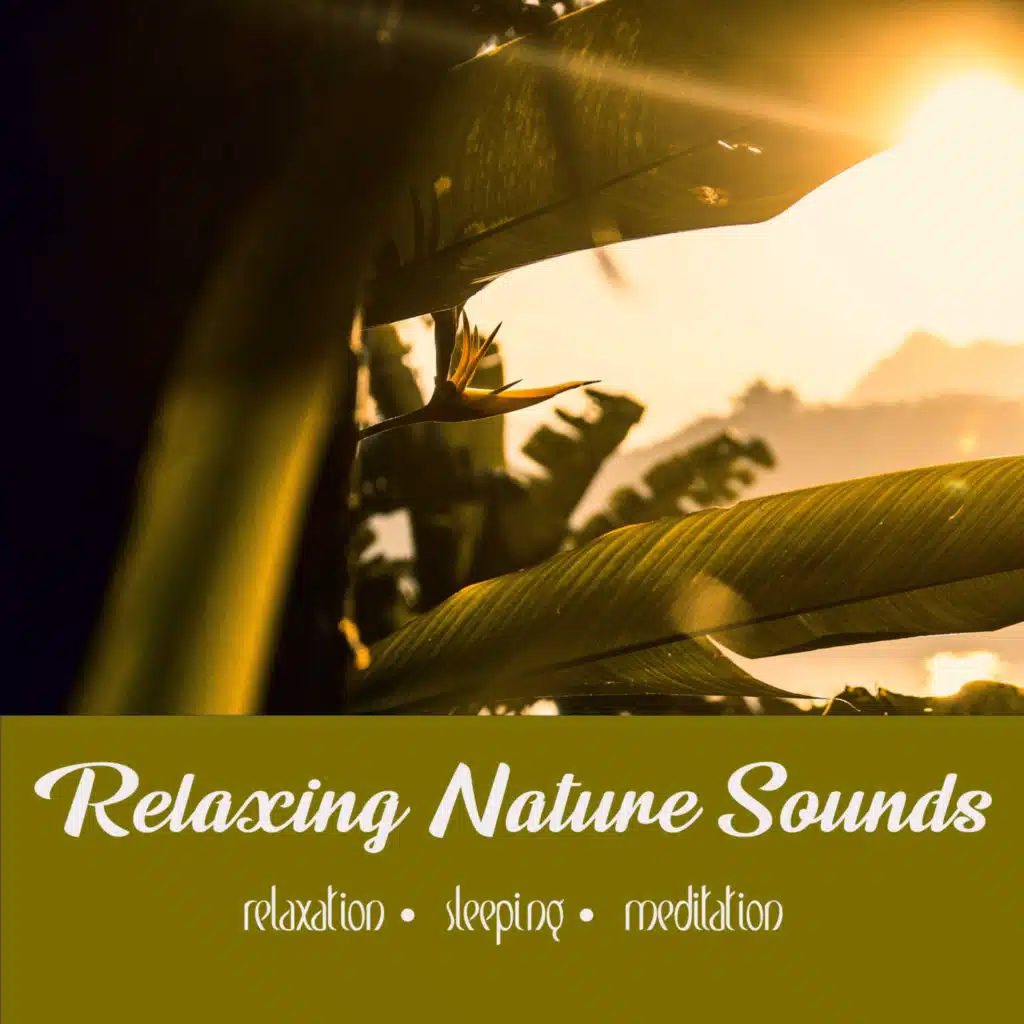 Hidden Cove | 1 Hour