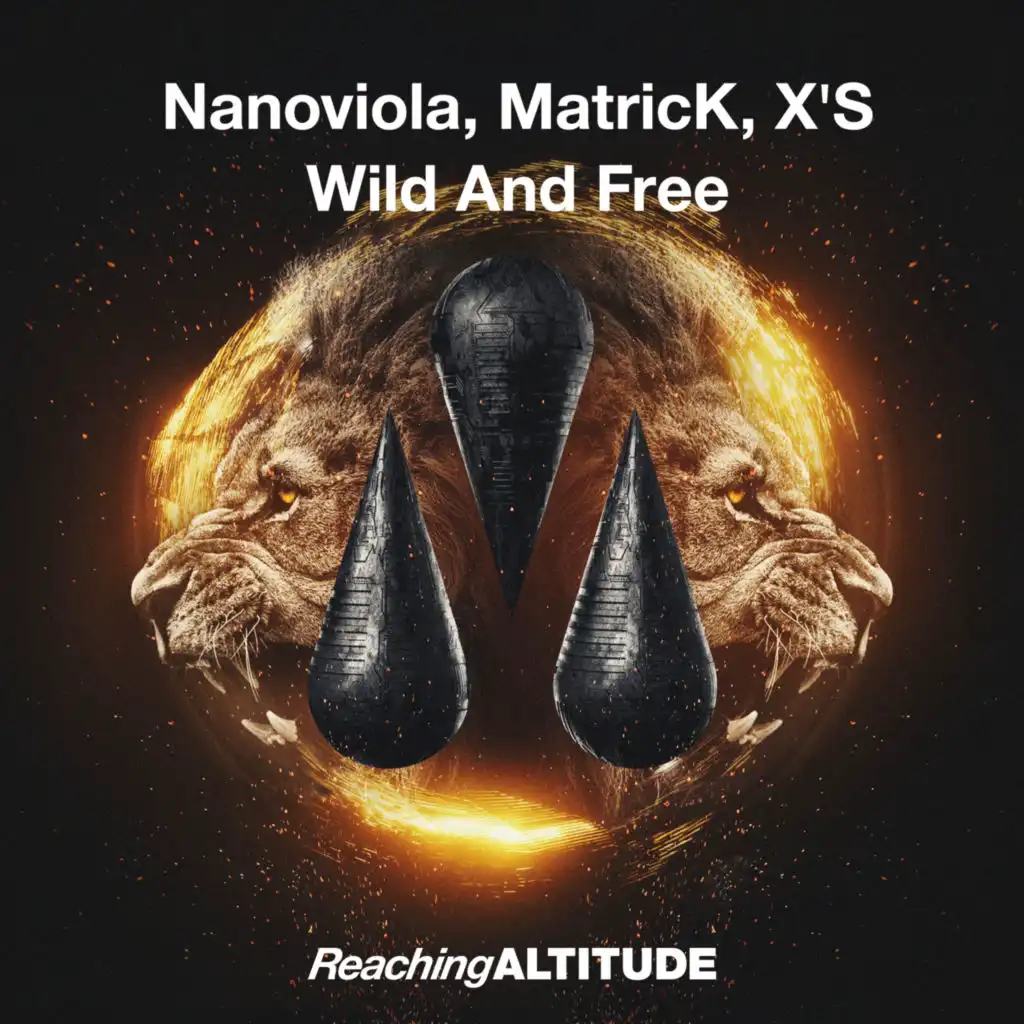 Nanoviola, MatricK & X'S
