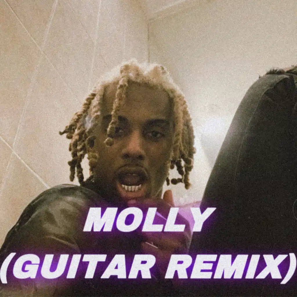 Molly (Guitar Remix)