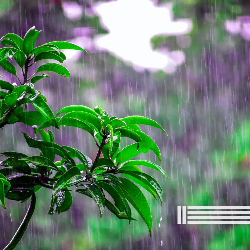 Sonidos De Lluvia, Reserva de Sonidos Naturales & Zona de Sonidos de la Naturaleza