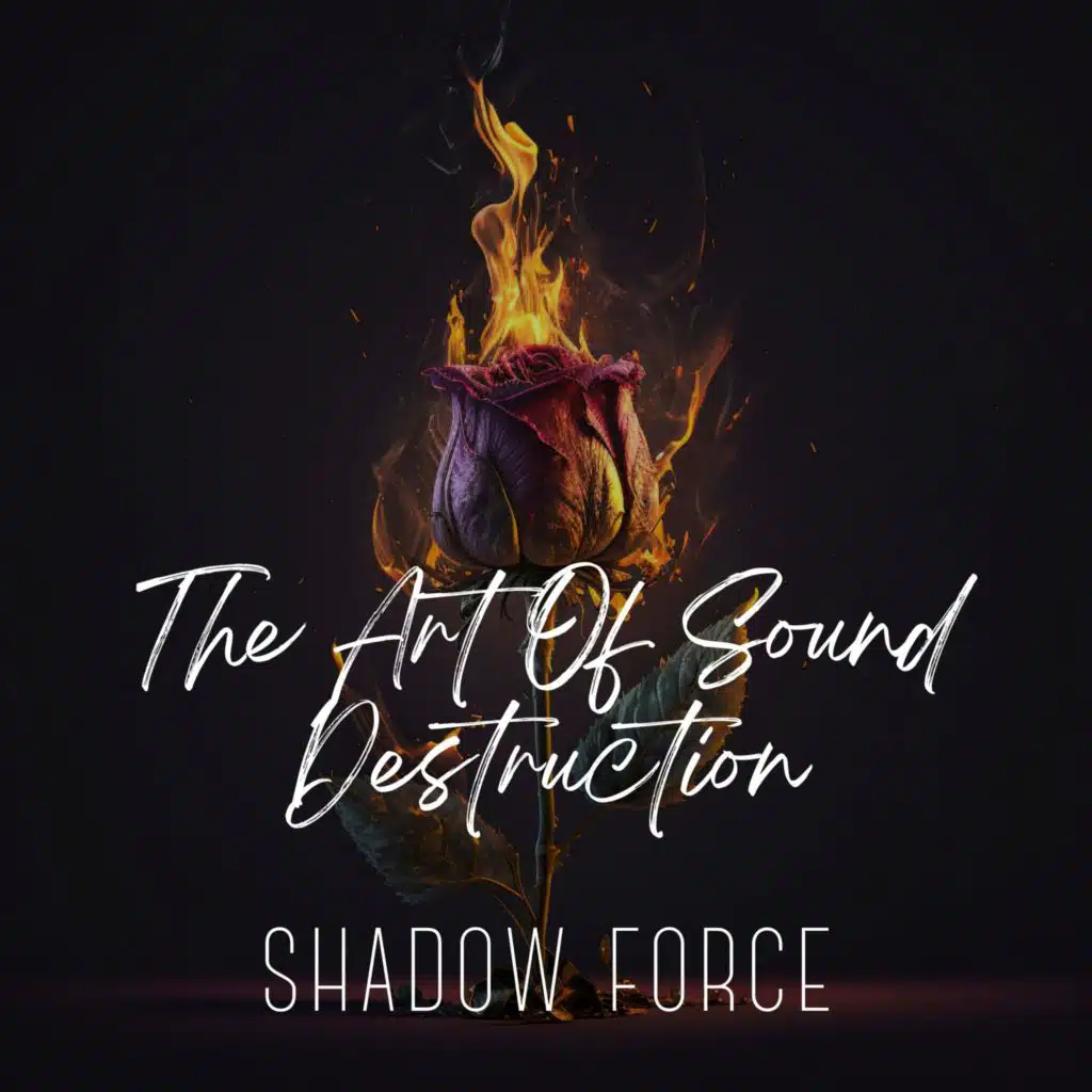 The Art Of Sound Destruction