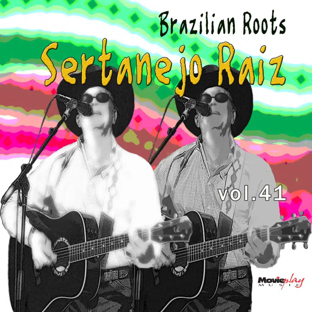 Sertanejo Raiz Vol. 41