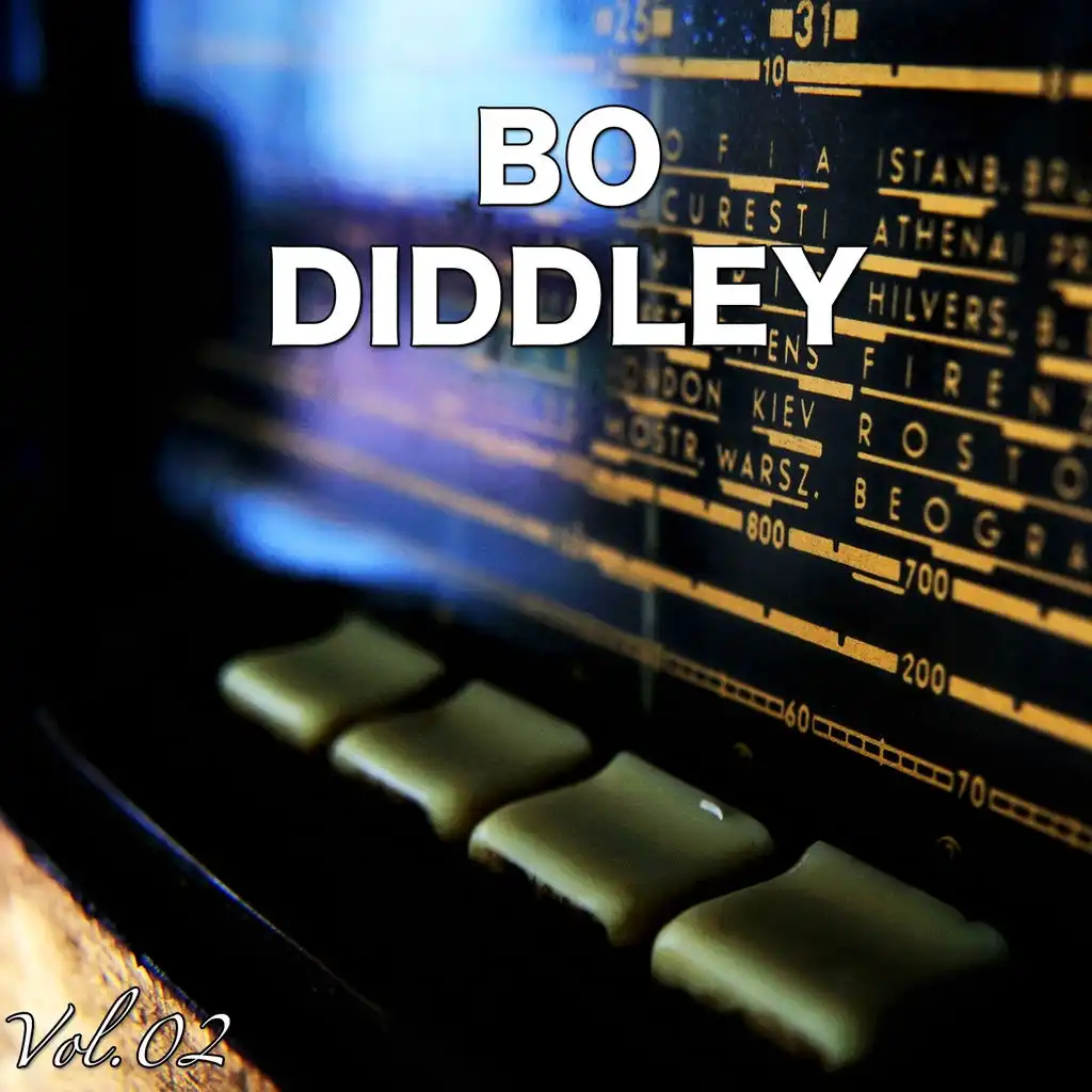 Hey, Bo Diddley