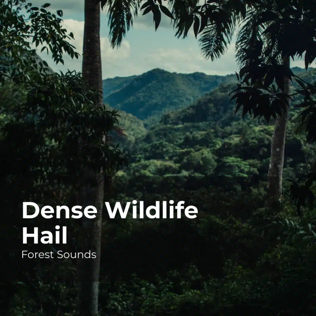 Tangled Bushy Jungle