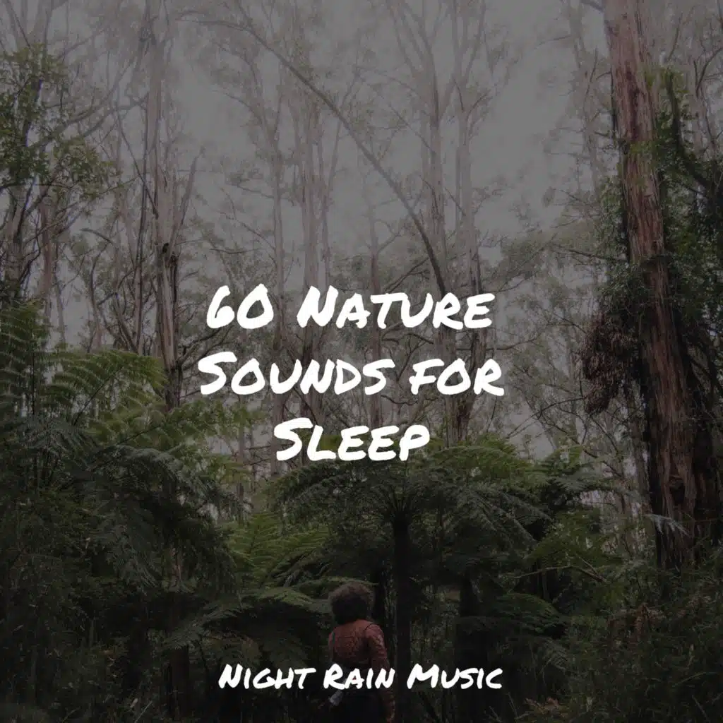 60 Nature Sounds for Sleep