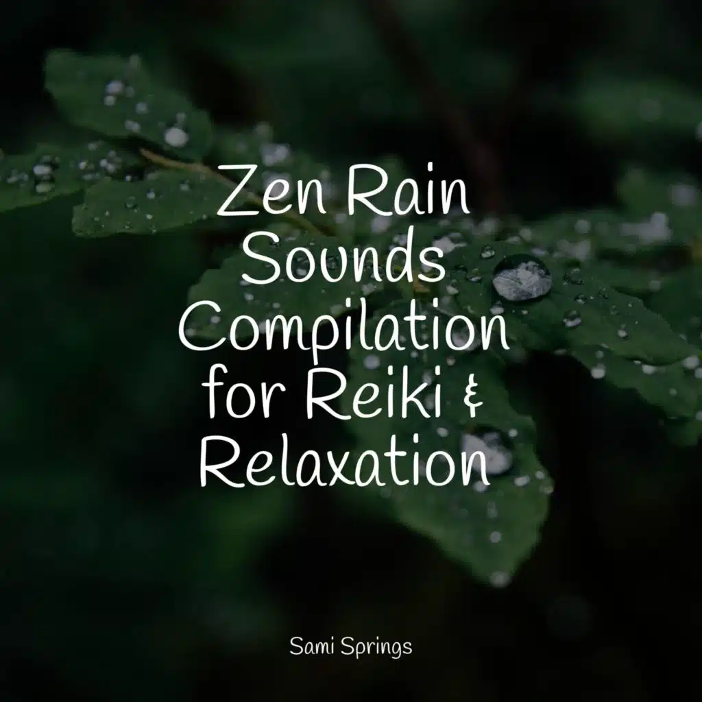 Zen Rain Sounds Compilation for Reiki & Relaxation