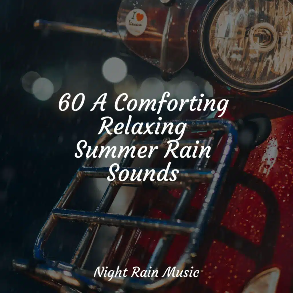 60 A Comforting Relaxing Summer Rain Sounds