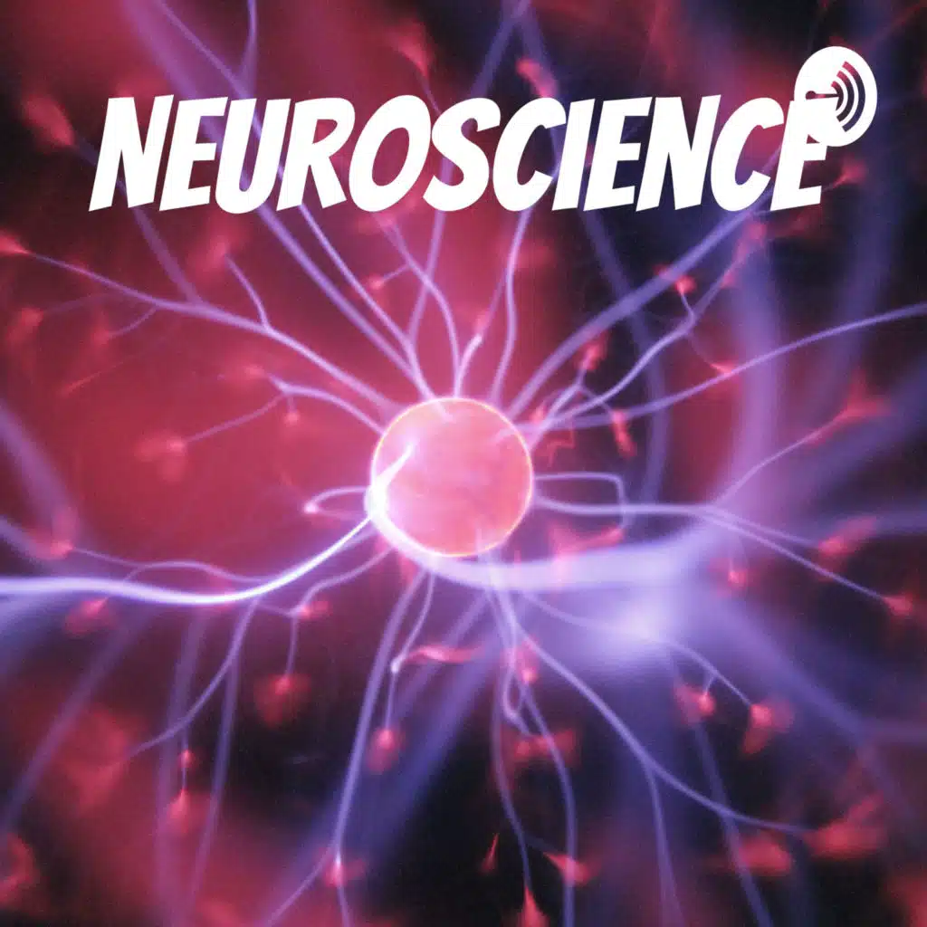 The Neuroscience of Motivation and Self-Discipline