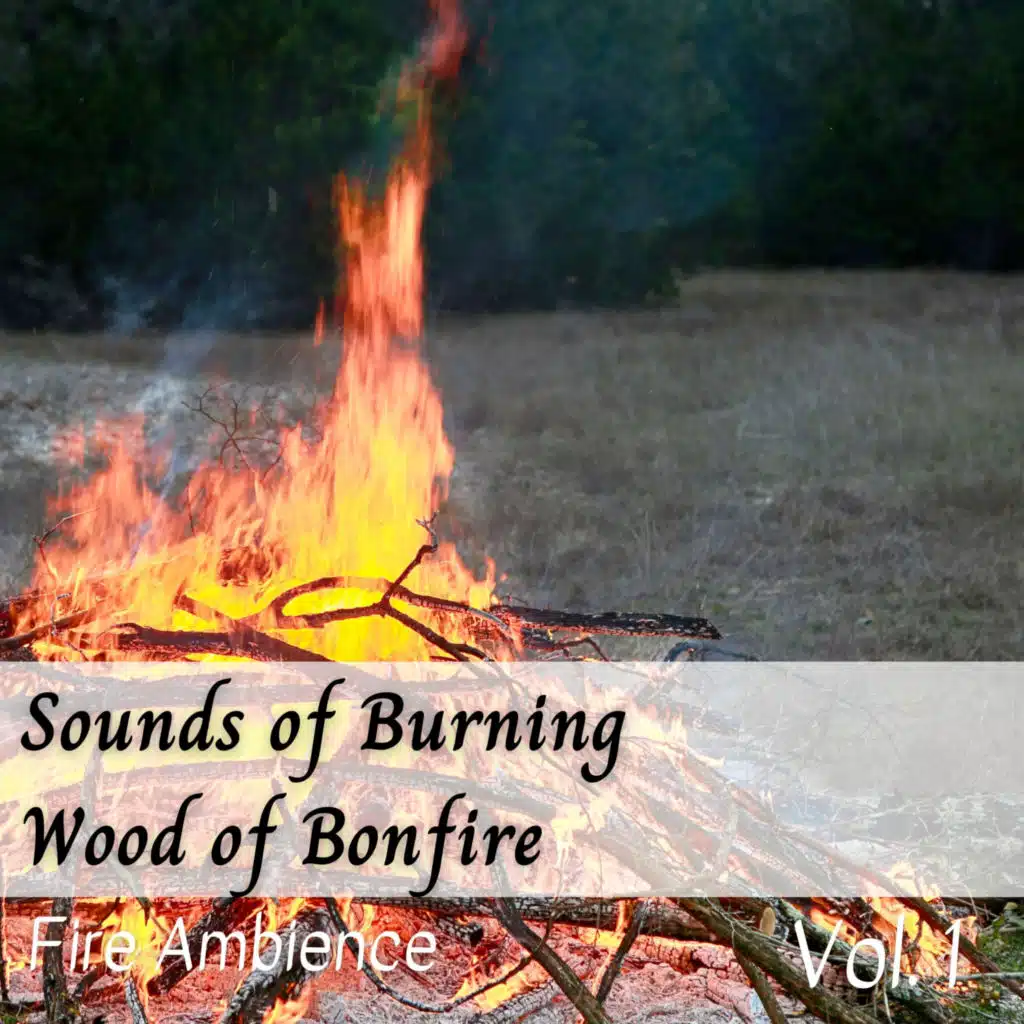 Fire Ambience: Sounds of Burning Wood of Bonfire Vol. 1