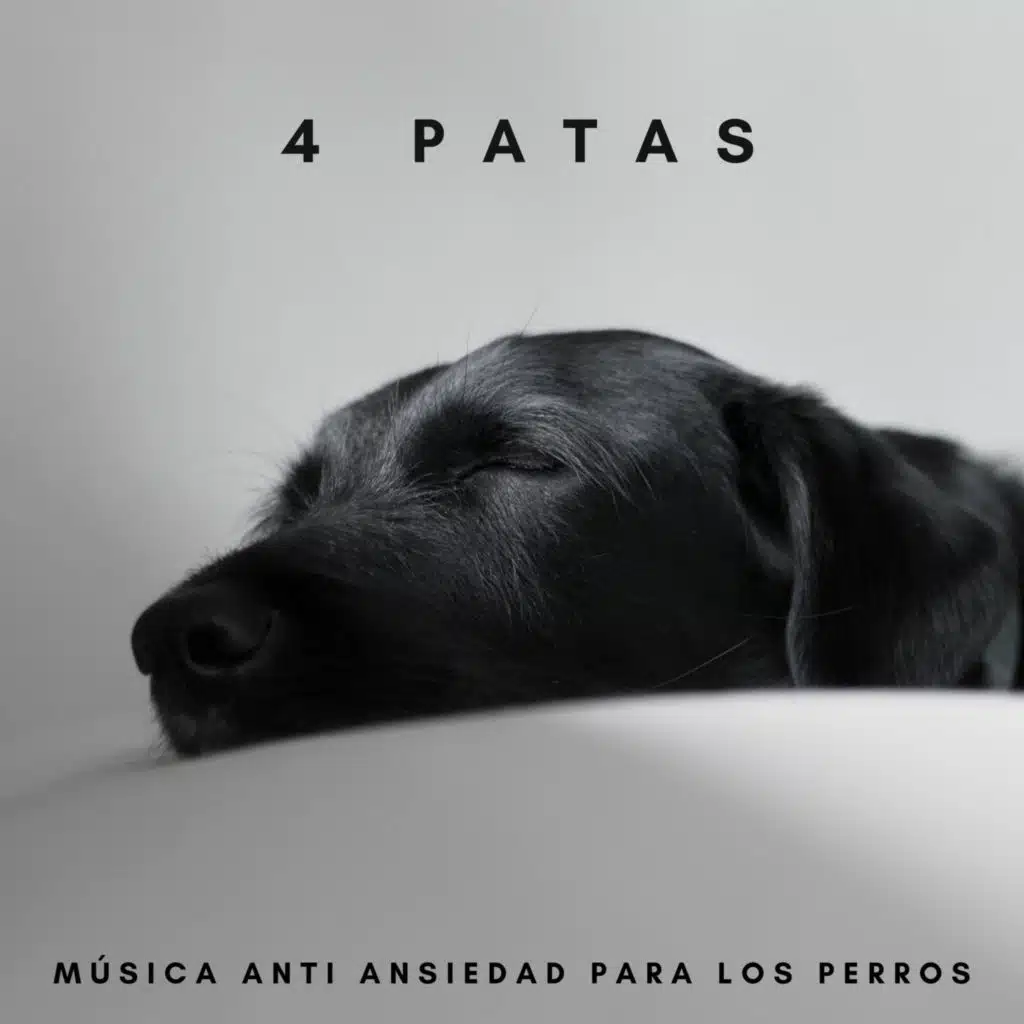 Música Para Perros