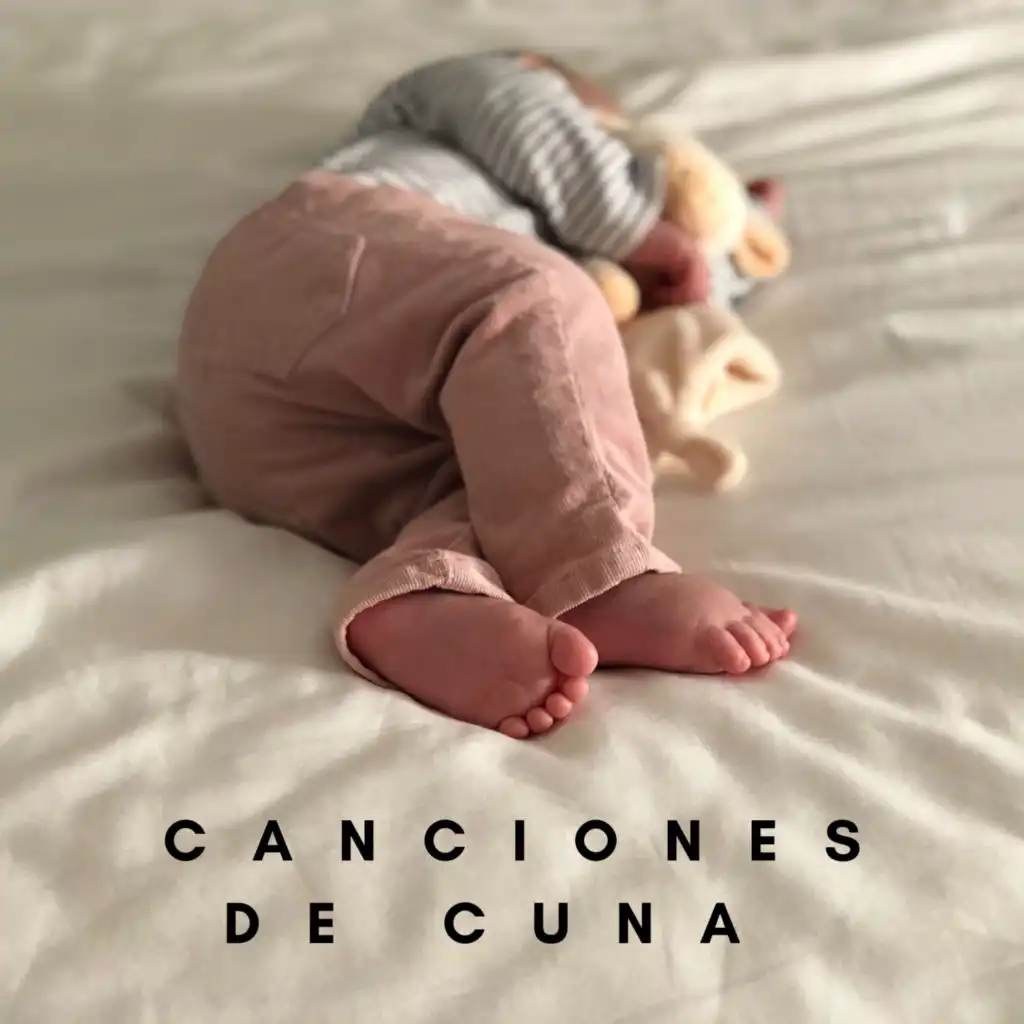 Príncipe De La Cuna