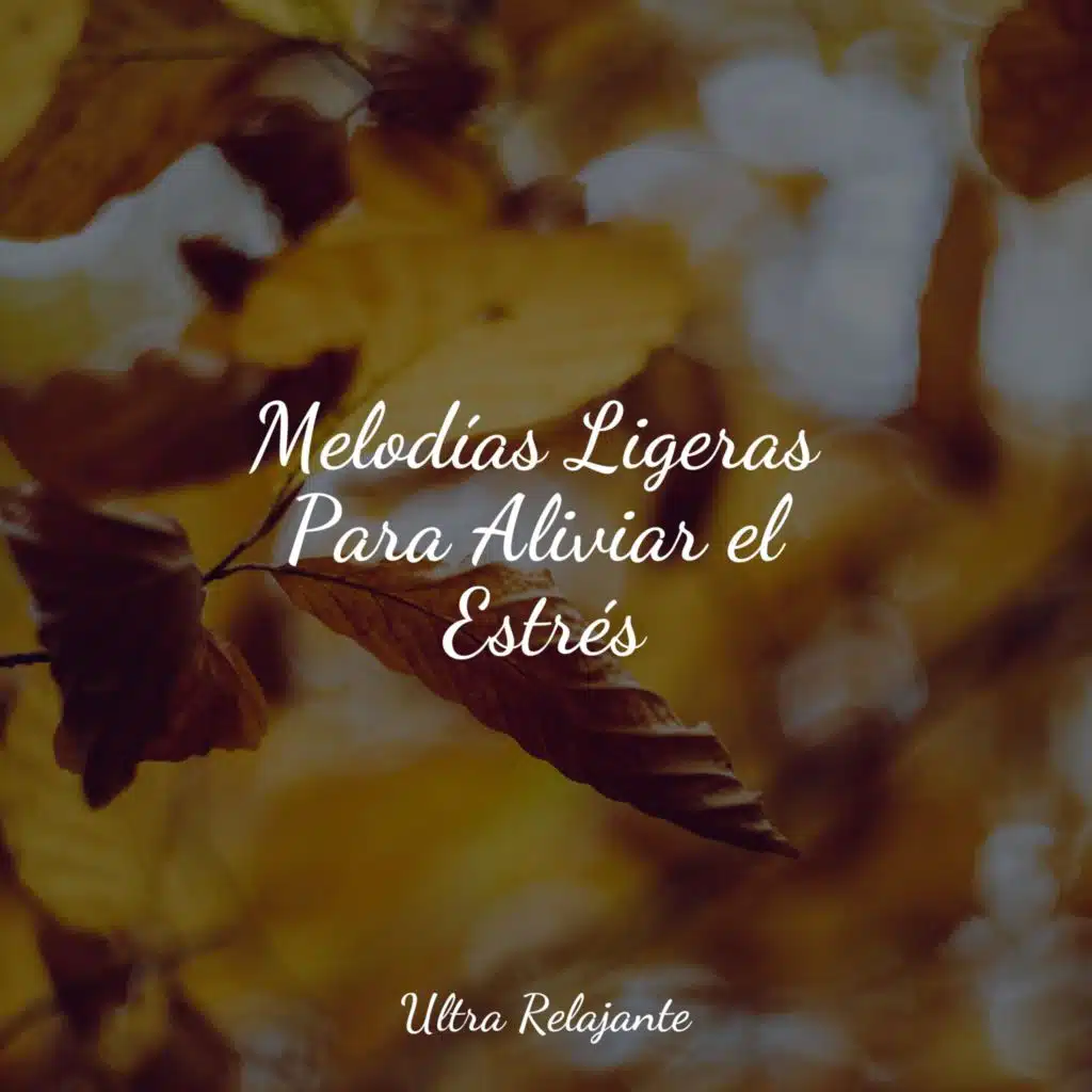Melodías Ligeras Para Aliviar el Estrés