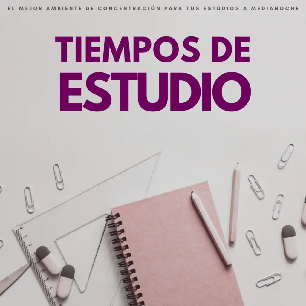 Tiempos De Estudio: El Mejor Ambiente De Concentración Para Tus Estudios A Medianoche