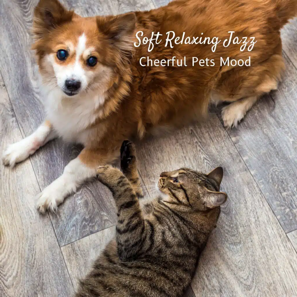Soft Relaxing Jazz: Cheerful Pets Mood
