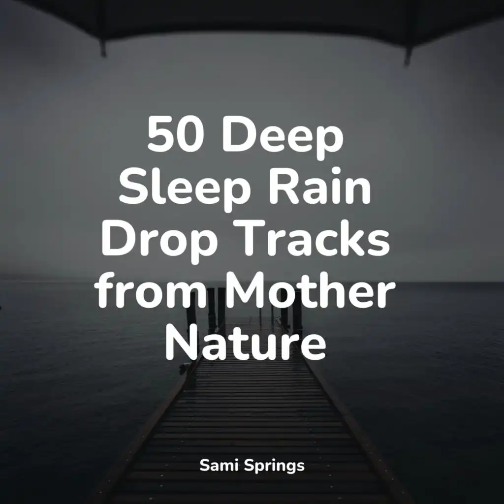 50 Deep Sleep Rain Drop Tracks from Mother Nature