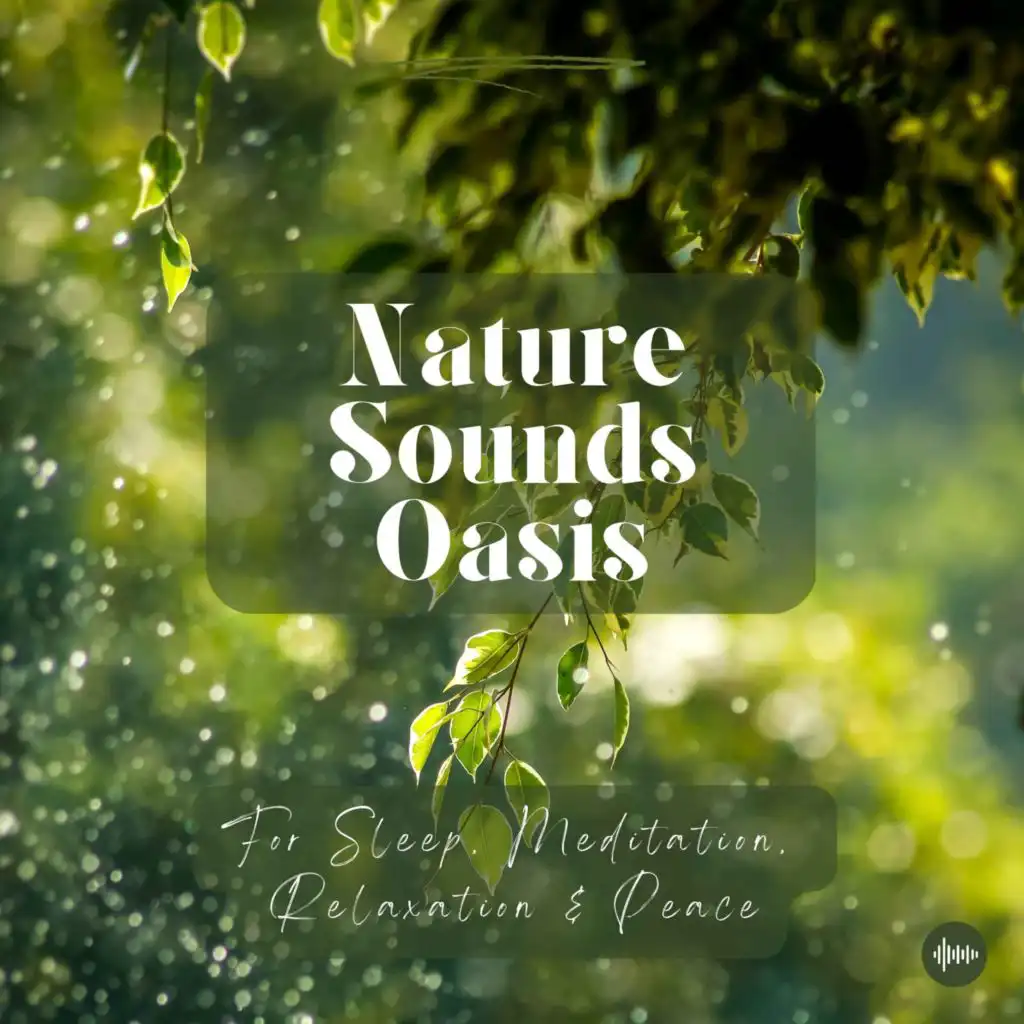 Nature Sounds Oasis | Relaxing Nature Sounds For Sleep, Meditation, Relaxation Or Focus | Sounds Of