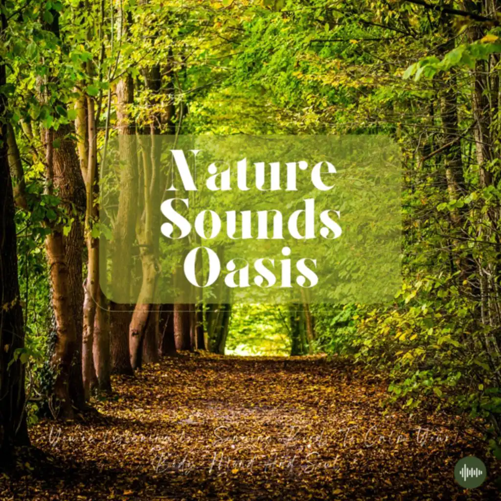 30 Minutes Singing Birds Sounds - Nature Sounds - Relaxing Sounds - Sleep Music - Deep Relaxation Sounds Of Nature - Birds Singing In The Forest - Cal...