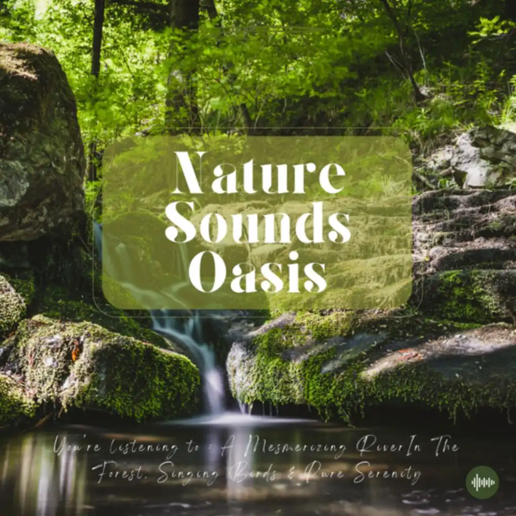 River Flowing, Singing Birds And Waterfall In Forest - Relaxing Nature Sounds - Meditation Music - Birds Sounds - Sleep Sounds To Fall Asleep - Forest...