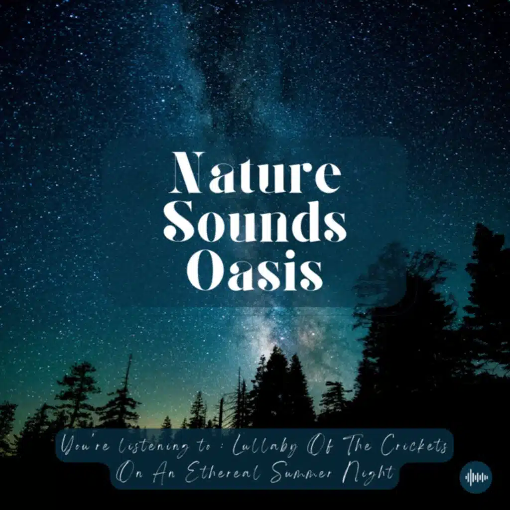 45 Minutes Of Dreamy Crickets, Singing Owls & Soft Nature Sounds On A Peaceful Summer Night For Sleep, Meditation, Relaxation Or Focus - Nature Sounds...