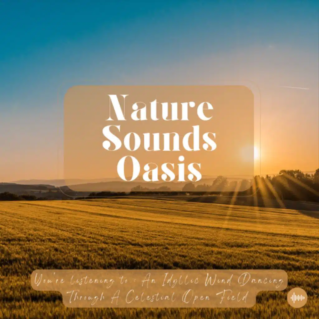 A Wonderful Wind And Blissful Breeze Traveling Through A Peaceful Open Field - Nature Sounds For Sleep, Meditation, Relaxation Or Focus - Sleep Sounds...