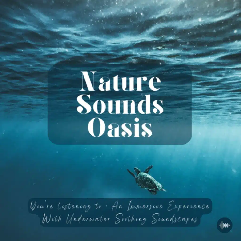 Super Relaxing Underwater Sounds And Deep Ocean Sounds For Sleep, Meditation, Relaxation, Stress-Relief Or Focus | Sleep Sounds, Nature Soundscapes, W...