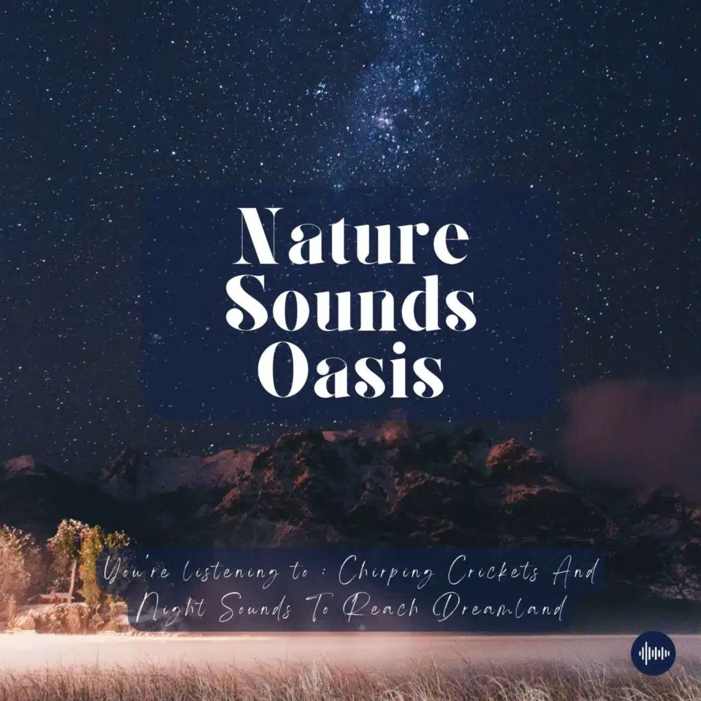 Calming Crickets & Summer Night Sleep Sounds For Relaxation And Deep Sleep | Nature Sounds For Sleep, Meditation, Stress-Relief Or Focus | Sleep Music...