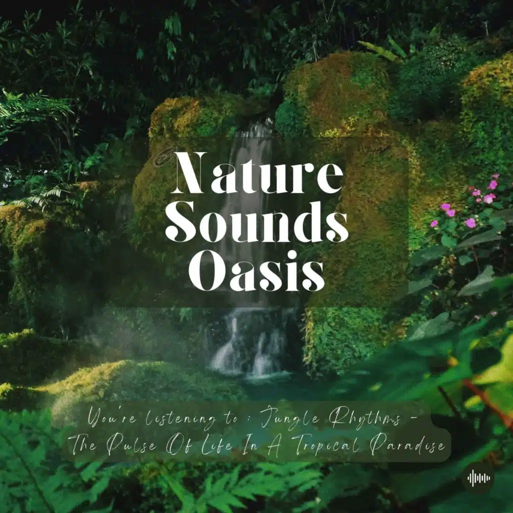 Tropical Jungle Ambiance, Exotic Birds Singing & Relaxing Nature Sounds For Sleep, Meditation, Relaxation Or Focus | Sleeping Sounds, Birdsong, Forest...