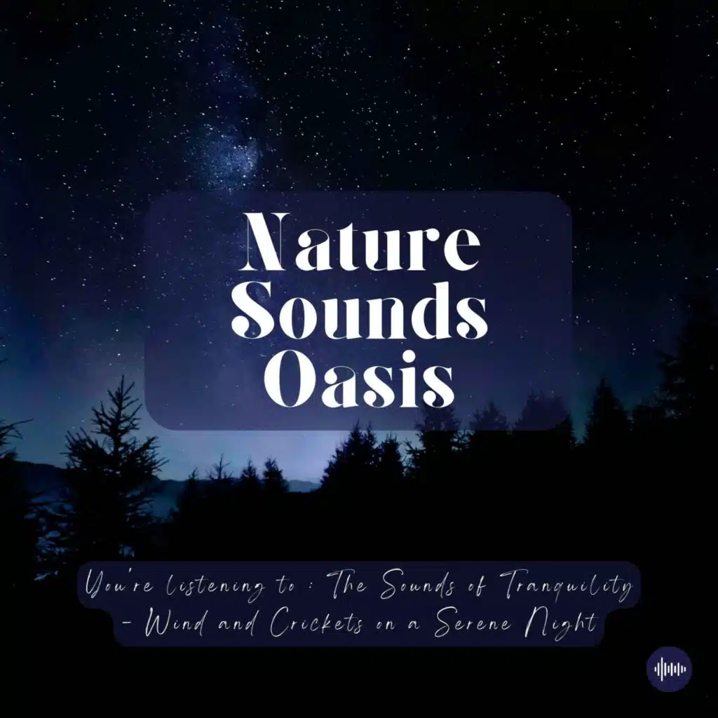 Relaxing Crickets Sounds On A Windy Night & Peaceful Nature Sounds For Sleep, Meditation, Relaxation, Insomnia Or Focus |  Sleep Sounds, Crickets Sing...