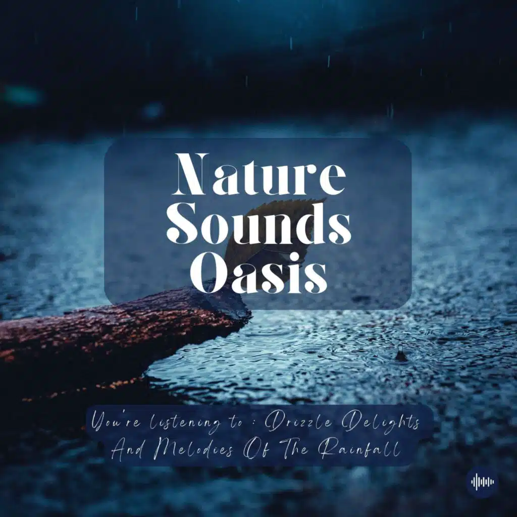 90 Minutes Of Relaxing Rain Sounds & Soothing Raindrops For Deep Sleep, Meditation, Relaxation Or Focus | Nature Sounds, Sleep Sounds, Relaxing Music,...